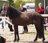 Noah von Heidmoor (15)